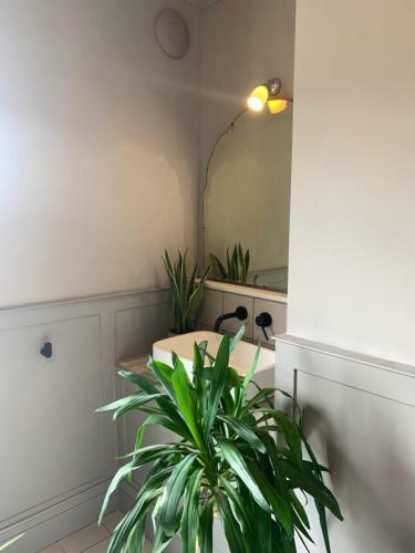 Bed & Breakfast The Pink House Margate