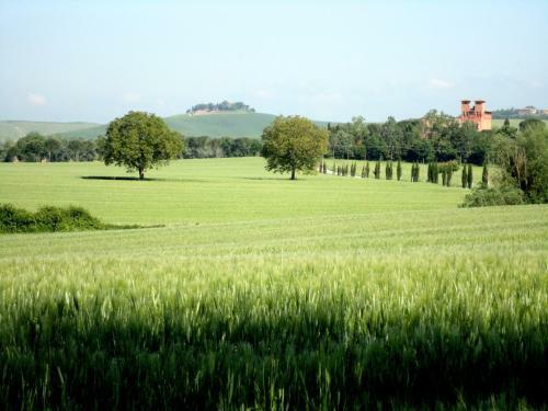Agroturismo Castello Di San Fabiano