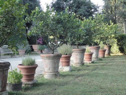 Agroturismo Castello Di San Fabiano