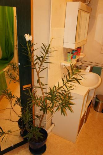 Apartamento H�tel Particulier Maleteste