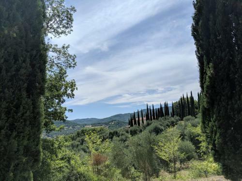 Agroturismo La Banditaccia
