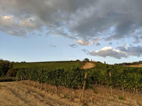 Agroturismo La Banditaccia
