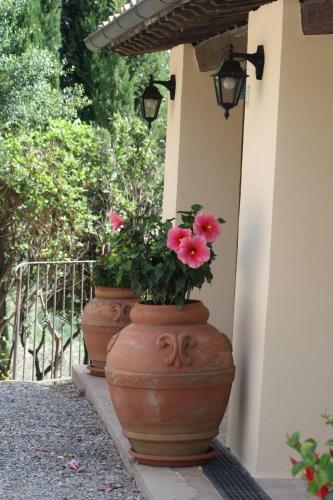 Agroturismo La Banditaccia