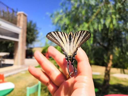 Agroturismo Country House Torrenera