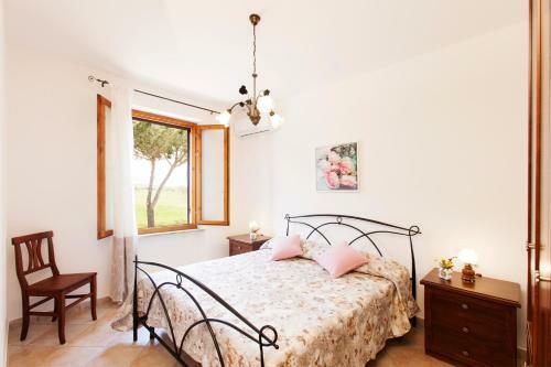 Agroturismo Agriturismo Colle Oliveto