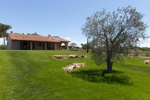 Agroturismo Agriturismo Colle Oliveto