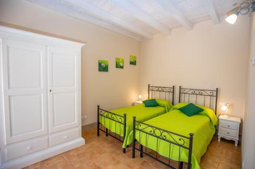 Agroturismo Agriturismo Colle Oliveto