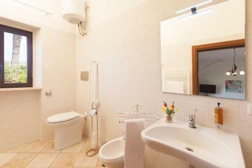 Agroturismo Agriturismo Colle Oliveto