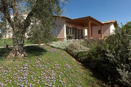 Agroturismo Agriturismo Colle Oliveto