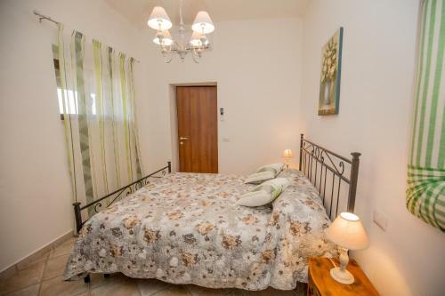 Agroturismo Agriturismo Colle Oliveto