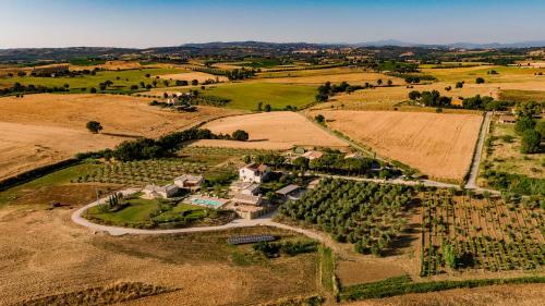 Agroturismo Agriturismo Colle Oliveto