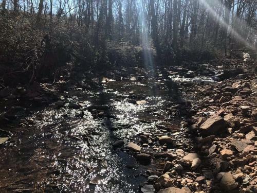 Tentrr - Good Intentions Farm