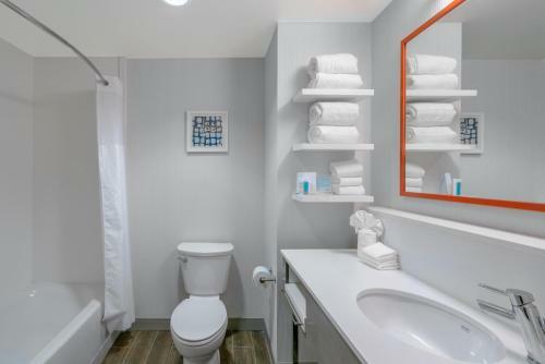 Hotel Hampton Inn & Suites Glenarden/washington Dc