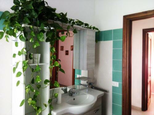 Apartamento Olbia Center House