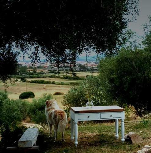 Bed & Breakfast Nacchinono