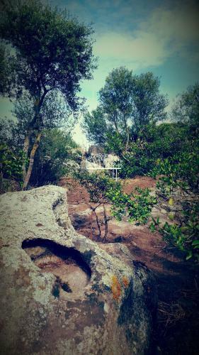 Bed & Breakfast Nacchinono