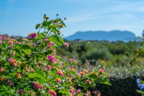 Apartamento Giardini Di Bados 24