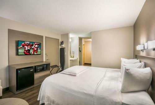 Hotel Red Roof Inn Plus+ Boston - Logan