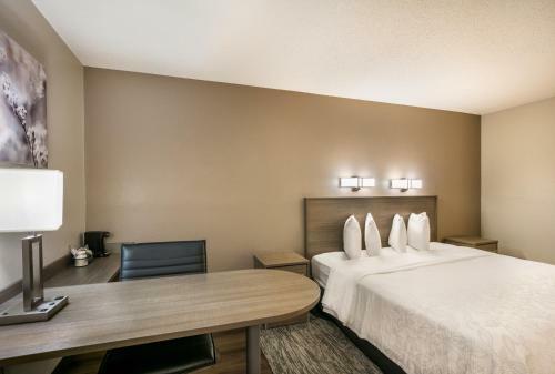 Hotel Red Roof Inn Plus+ Boston - Logan