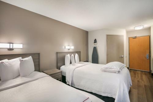 Hotel Red Roof Inn Plus+ Boston - Logan