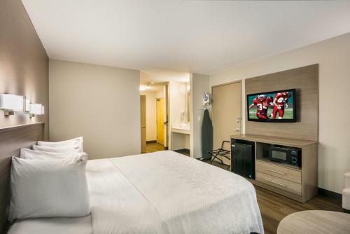 Hotel Red Roof Inn Plus+ Boston - Logan