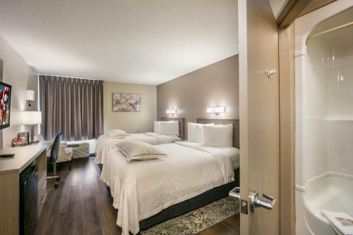 Hotel Red Roof Inn Plus+ Boston - Logan