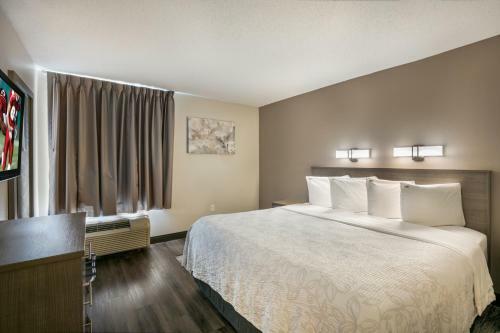 Hotel Red Roof Inn Plus+ Boston - Logan