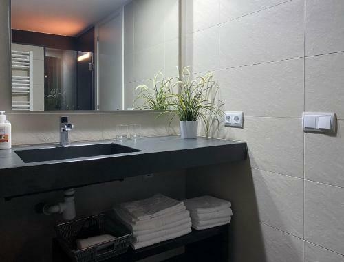Apartaments Y Habitacions Entre Volcans