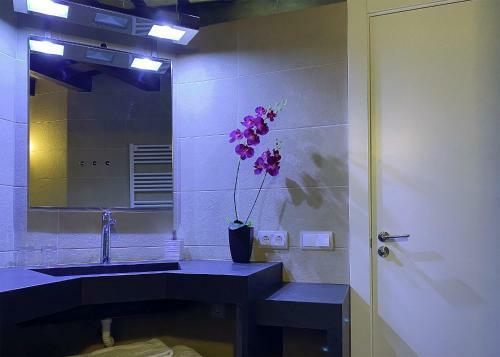 Apartaments Y Habitacions Entre Volcans