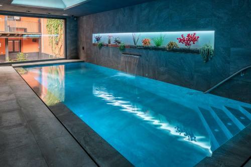 Apartaments Y Habitacions Entre Volcans