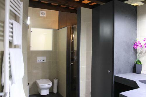 Apartaments Y Habitacions Entre Volcans