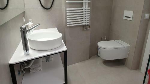 Apartaments Y Habitacions Entre Volcans