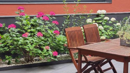 Apartaments Y Habitacions Entre Volcans