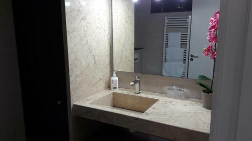Apartaments Y Habitacions Entre Volcans
