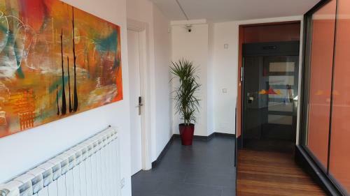 Apartaments Y Habitacions Entre Volcans