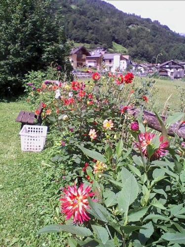 Agroturismo Agritur Scarena