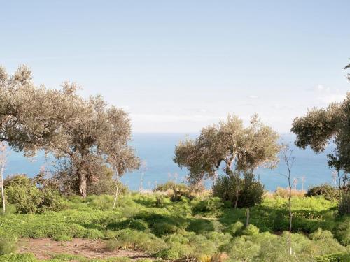 Apartamentos Vento Del Mare