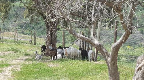 Agroturismo Mama Lina