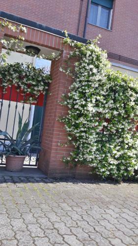 Hostal Borromeo Residenze Service S.a.s