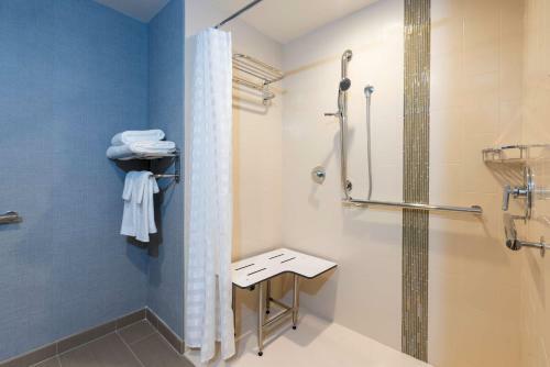 Hotel Hyatt Place Flint/grand Blanc