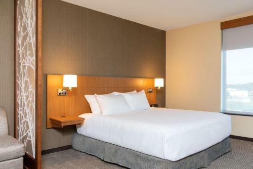 Hotel Hyatt Place Flint/grand Blanc