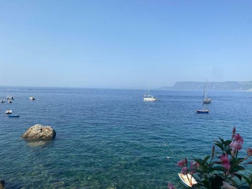 Hotel Principe Di Scilla