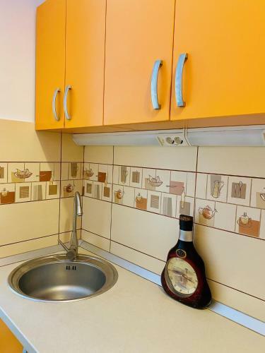 Apartamento Calea Victoriei Studio