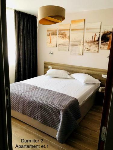 Hostal Medusa Mamaia Nord