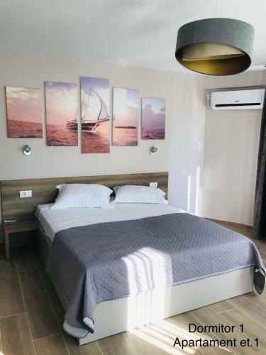 Hostal Medusa Mamaia Nord