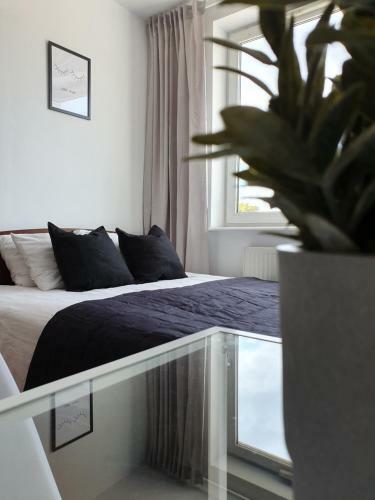 Apartament Bretowska Brama IV