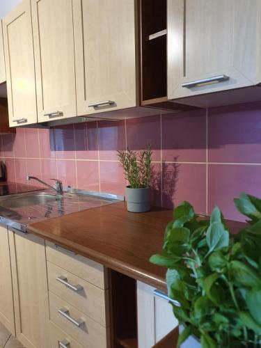 Apartament Bretowska Brama IV
