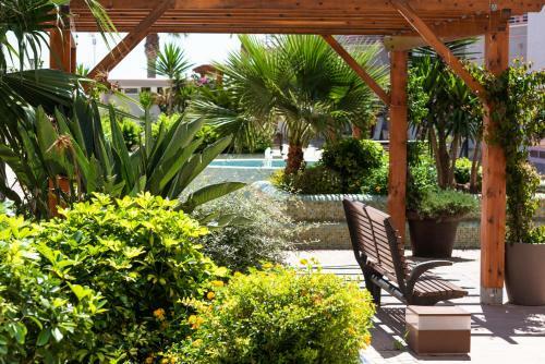 Apartamentos Nuevo M�xico C 451