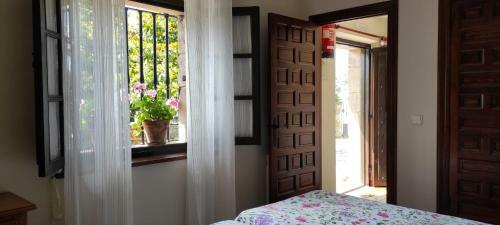 Apartamentos La Casa Solariega