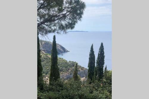 Apartamento Panorama Mozzafiato Argentario - Cala Piccola